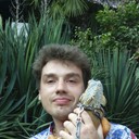 ���������� ������, ���� ������� Ampulex, 43 ����, ������������ ��� ������, ����� � ���������, c�������� ���������