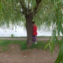 ���������� �����-���������, ���� ������� ����, 47 ���, ������������ ��� ������, ����� � ���������, c�������� ���������