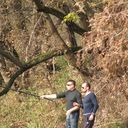  ,   Veter, 46 ,   ,   , c 