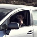 ���������� ������, ���� ������� Vicu, 33 ����, ������������ ��� ����� � ���������, c�������� ���������