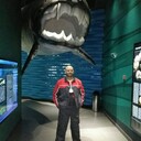 ���������� ��������, ���� ������� ����������, 44 ����, ������������ ��� ������, ����� � ���������