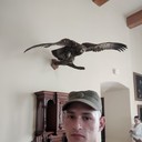  ,   , 29 ,   ,   , c 