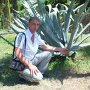 ���������� �����������, ���� ������� ����, 38 ���, ������������ 