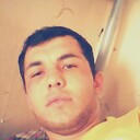 ���������� ����������, ���� ������� ������, 33 ����, ������������ ��� ������, ����� � ���������