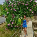  ,   , 44 ,     , c , 