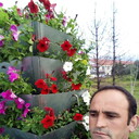 ���������� ����� �������, ���� ������� �����, 45 ���, ������������ ��� ������, ����� � ���������, c�������� ���������