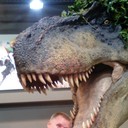 ���������� �����������, ���� ������� ������, 45 ���, ������������ ��� ������, ����� � ���������, c�������� ���������