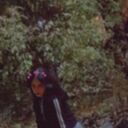 ���������� �����������, ���� ������� ���, 22 ����, ������������ ��� ������, ����� � ���������