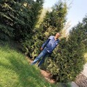 ���������� ���������, ���� ������� ��������, 56 ���, ������������ ��� ������, ����� � ���������