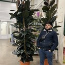 ���������� ������, ���� ������� Roma, 33 ����, ������������ ��� ������, ����� � ���������