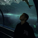 ���������� �����������, ���� ����� �������, 23 ����, ������������ ��� ������, ���������