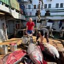 ���������� �����������, ���� ������� ��������, 45 ���, ������������ ��� c�������� ���������