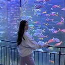 ���������� �����-���������, ���� ������� ��������, 31 ���, ������������ ��� ������, ����� � ���������, c�������� ���������, ���������