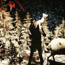 ���������� ����, ���� ������� ������, 29 ���, ������������ ��� ������, ����� � ���������, c�������� ���������