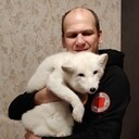 ���������� ������, ���� ������� ����, 43 ����, ������������ ��� ������, ����� � ���������, c�������� ���������