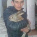 ���������� ��������, ���� ������� ���������, 34 ����, ������������ ��� ������, ����� � ���������, c�������� ���������, ���������