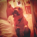 ���������� �������, ���� ������� ���������, 35 ���, ������������ ��� ������, ����� � ���������, c�������� ���������