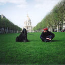 ���������� �����, ���� ������� ����, 43 ����, ������������ ��� ������