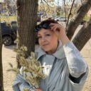 ���������� �������, ���� ������� ����, 58 ���, ������������ ��� c�������� ���������, ���������