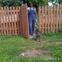  ,   , 56 ,   ,   