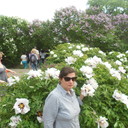 ���������� ����, ���� ������� �������, 41 ���, ������������ ��� ����� � ���������, c�������� ���������