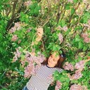 ���������� ���������, ���� ������� ����, 29 ���, ������������ ��� ������, ����� � ���������, c�������� ���������