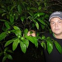 ���������� �����, ���� ������� ���������, 104 ����, ������������ ��� ����� � ���������, c�������� ���������