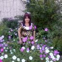  ,   , 66 ,   ,   