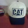  ,   Cat, 40 ,   