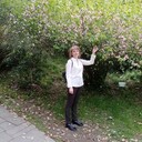  ,   , 51 ,     , c 