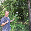 ���������� ����, ���� ������� ������, 40 ���, ������������ ��� ������, ����� � ���������, c�������� ���������