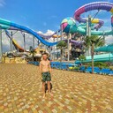 ���������� �������, ���� ����� ������, 24 ����, ������������ ��� ������, ����� � ���������, c�������� ���������