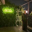 ���������� �������, ���� ������� ����, 53 ����, ������������ ��� c�������� ���������