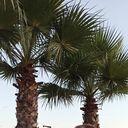  --,   , 23 ,   ,   , c , 