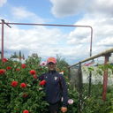 ���������� �����������, ���� ������� ���, 36 ���, ������������ ��� ������, ����� � ���������, c�������� ���������