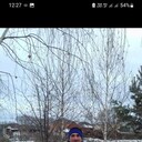  ,   , 37 ,   ,   , c , 