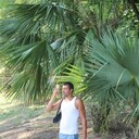 ���������� �����-���������, ���� ������� �������, 36 ���, ������������ ��� c�������� ���������