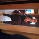 ���������� �����������, ���� ������� �����, 44 ����, ������������ ��� ������, ����� � ���������