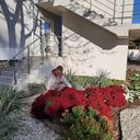  ,   , 55 ,   c 