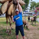 ���������� ����, ���� ������� ����, 44 ����, ������������ ��� ����� � ���������, c�������� ���������