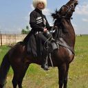 ���������� ������, ���� ������� ����, 38 ���, ������������ ��� ������, ����� � ���������, c�������� ���������