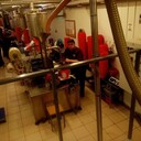 ���������� �����-���������, ���� ������� �����, 43 ����, ������������ ��� ������, ����� � ���������