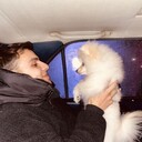  ,   Serhan, 28 ,   ,   