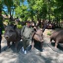 ���������� �������, ���� ������� ��������, 38 ���, ������������ ��� ������, ����� � ���������