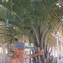 ���������� �����, ���� ������� �������, 59 ���, ������������ ��� ������, ����� � ���������, c�������� ���������