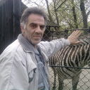  Zlotow,   Tigo, 61 ,   ,   , c 