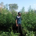  ,   MKRTICH, 49 ,   ,   , c , 