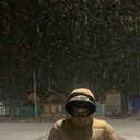 ���������� �������, ���� ����� �����, 21 ���, ������������ ��� ���������