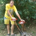 ���������� ���������, ���� ������� DiSaint, 34 ����, ������������ ��� ������, ����� � ���������, c�������� ���������