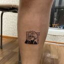 ���������� �����-���������, ���� ������� ������, 24 ����, ������������ 